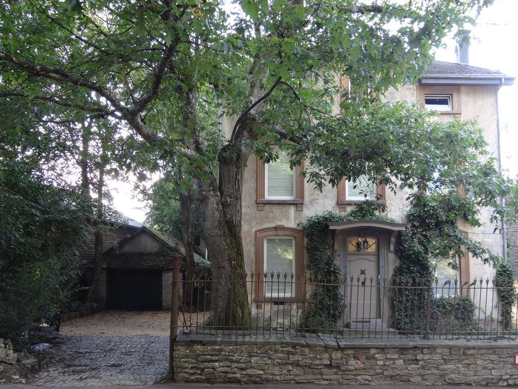 B&B Les Tilleuls Vielsalm Zewnętrze zdjęcie