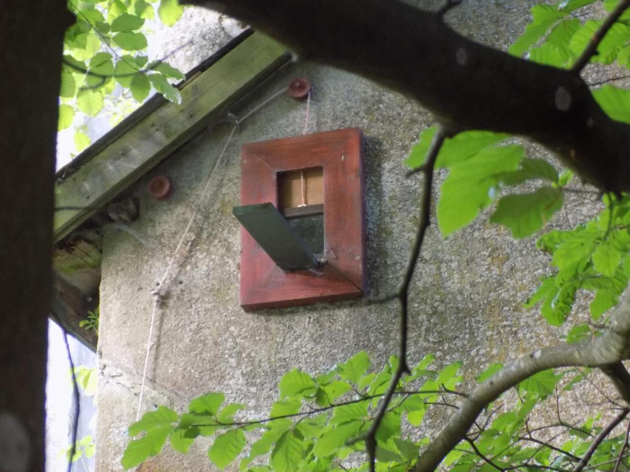 B&B Les Tilleuls Vielsalm Zewnętrze zdjęcie