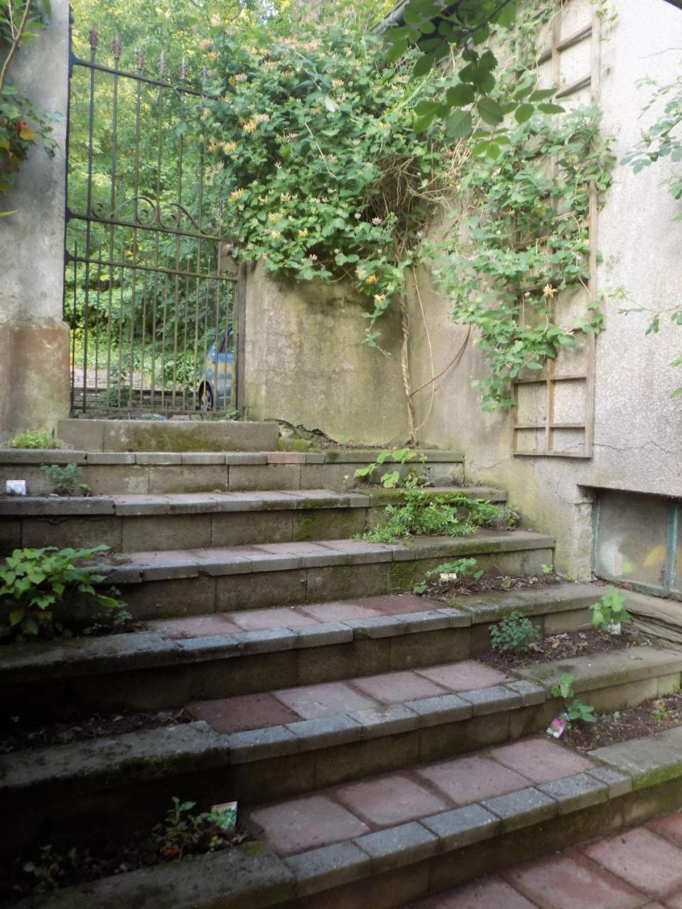 B&B Les Tilleuls Vielsalm Zewnętrze zdjęcie